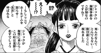 ワンピース919話ネタバレ予想 あの墓に刻まれたまさかのお菊 ワンピース One Piece ファンタジア
